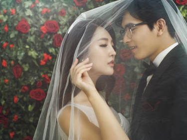 CD视觉婚纱摄影韩式案例
