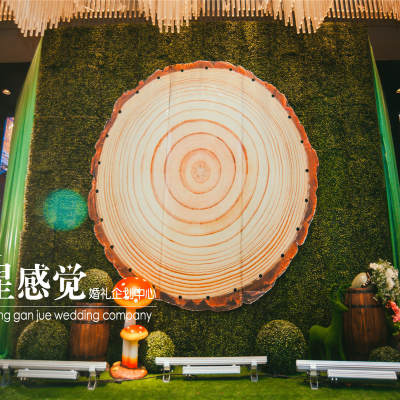扬州市星感觉婚礼企划logo