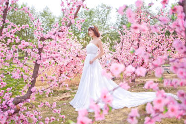 施华诺[旅拍]婚纱摄影中国风案例