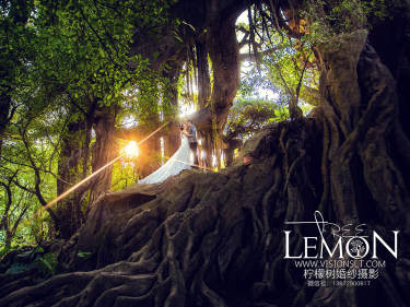 柠檬树摄影机构韩式案例