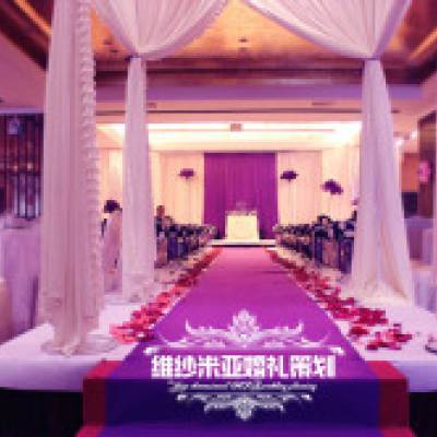 贵港市维纱米亚婚礼logo