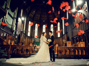 新西兰奥克兰大教堂婚礼