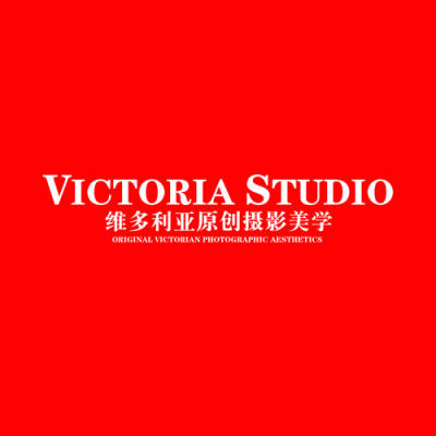 维多利亚原创摄影美学logo
