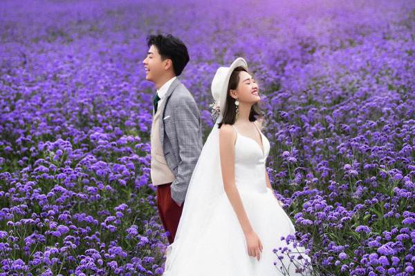 【龙摄影】紫色薰衣草