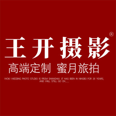 宁波市王开摄影私人定制logo