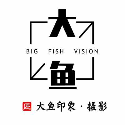 衡水市大鱼印象婚纱摄影logo