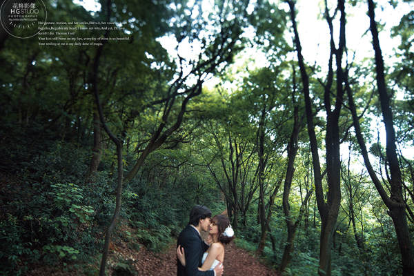 森林主题婚纱照