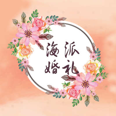 铜陵市海派婚礼logo
