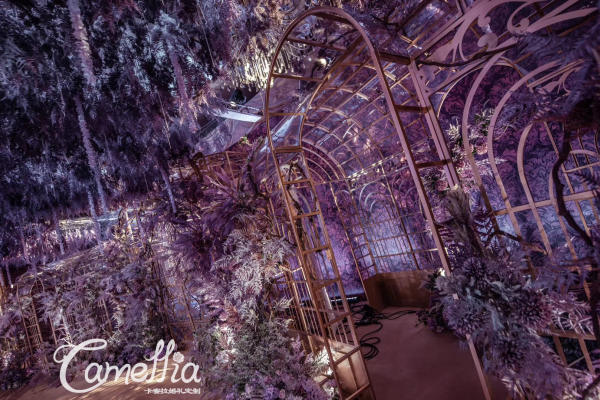 紫色梦幻丨秘密花园