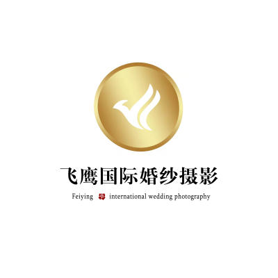 益阳市飞鹰国际婚纱摄影logo