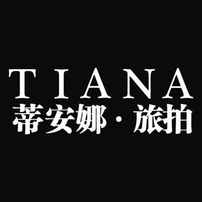 蒂安娜高端婚纱摄影logo