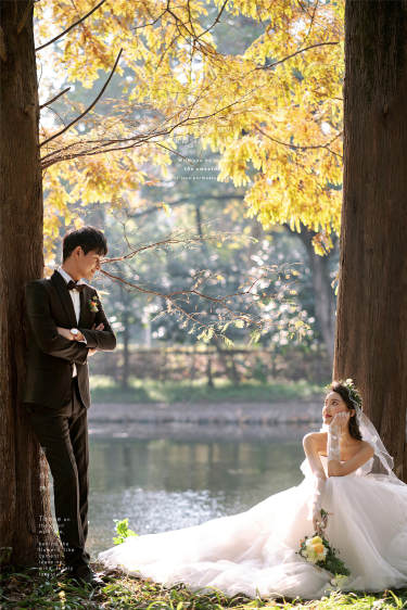 必拍婚照系列——简约自然森系婚纱照