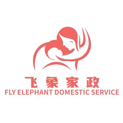 飞象家政logo
