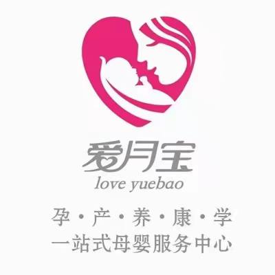 爱月宝月嫂logo