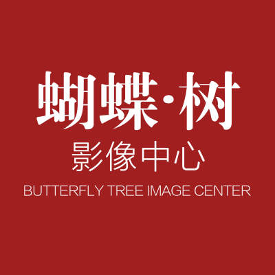 蝴蝶树婚纱摄影logo