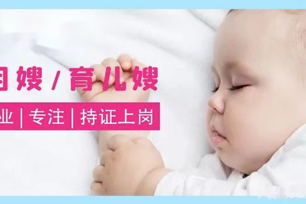 上海金牌育婴师