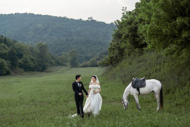 浪漫的森系骑马婚纱照，是童话的模样