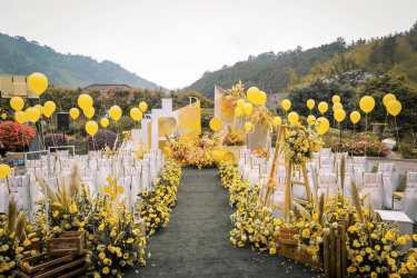 黄白色创意户外婚礼
